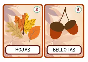 Vista previa - Tarjetas / Manipulativos - Flashcards otoñales - página 2