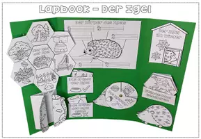 Vorschau - Arbeitsblätter - Der Igel - Lapbook - eine Bastelvorlage - Seite 1
