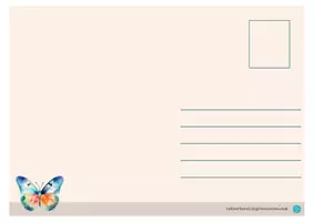 Vorschau - Mal- und Bastelvorlagen - Schmetterlingklasse Klassentier Schmetterling Sorglospaket - Seite 3