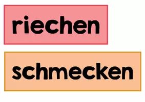 Vorschau - Präsentationen/Tafelbilder - 5 Sinne Tafelmaterial Mindmap - Seite 2