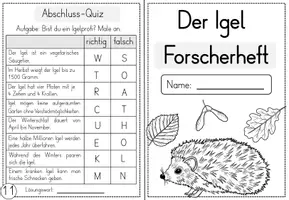 Vorschau - Unterrichtsreihen - Igel - Wissenskartei & Forscherheft mit Lösungen - Seite 2