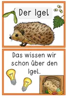 Vorschau - Unterrichtsreihen - Komplettpaket- Der Igel im Herbst - inklusive Lernwerkstatt & Kunstprojekt - Seite 2