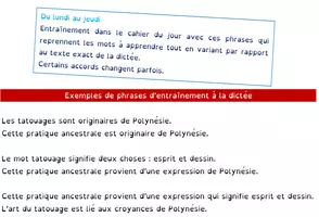 Aperçu - Préparation de séquence / Séquence complète - Dictées de sciences différenciées Ce2 - CM + liens vers applications - Page 3