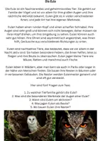 Vorschau - Text - Eule Sachtext mit Fragen - Deckblatt