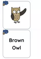 Aperçu - Feuilles d'exercices - Read and Rhyme with Brown Owl - BUNDLE of Beebot Cards / Flashcards - Page 3
