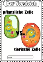 Vorschau - Arbeitsblätter - Vergleich I Tierzelle I Pflanzzellen I die Zelle - Seite 3
