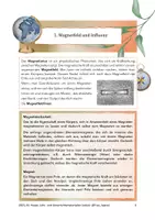 Vorschau - Arbeitsblätter - Elektromagnetismus: Arbeitsmappe mit Übungsfragen - Seite 3