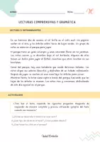 Vista previa - Hojas de trabajo - LECTURAS COMPRENSIVAS Y GRAMÁTICA: LOS DETERMINANTES - página 1