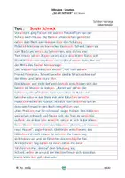 Vorschau - Fördermaterial/Inklusion - Minuten- Lesetest : "So ein Schreck" (247 Wörter) - Seite 3