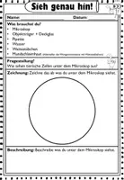 Vorschau - Arbeitsblätter - Mikroskopieren Tierzelle I Querschnitt I Tiere I Versuch - Seite 3