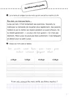 Aperçu - Feuilles d'exercices - Fichier d'orthographe entrée graphémique CE1 - n°2 - Page de couverture