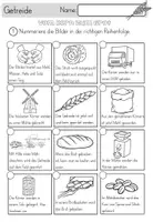 Vorschau - Unterrichtsreihen - Lernwerkstatt - Vom Korn zum Brot - Getreide inklusive Leporello und Bildkarten - Seite 3