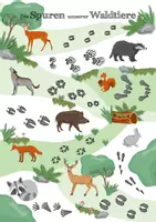 Vorschau - Poster - Ökosystem Wald - Waldtiere und ihre Spuren - Lernposter | Biologie Klasse 6-8 - Seite 1