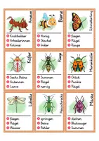 Vorschau - Spiele - Sag es nicht! Insekten - Wörter erklären - Seite 1