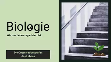 Vorschau - Arbeitsblätter - Organisationsstufen des Lebens + Zelltheorie - Seite 1