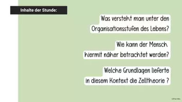 Vorschau - Arbeitsblätter - Organisationsstufen des Lebens + Zelltheorie - Seite 2