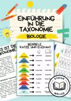 Vorschau - Mal- und Bastelvorlagen - Einführung in die hierarchische Taxonomie - Deckblatt