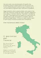anteprima - Esercizi - Alla scoperta degli alberi - Quaderno di osservazione - Pagina 2