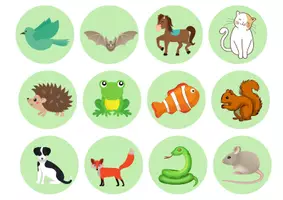 anteprima - Esercizi - Who's who garden animals - Pagina 3