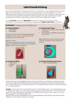 Vorschau - Arbeitsblätter - Angepasstheit der Eule - Forschungsheft & Versuche (3. Kl.) - Seite 2