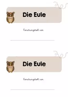 Vorschau - Arbeitsblätter - Angepasstheit der Eule - Forschungsheft & Versuche (3. Kl.) - Seite 3