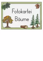 Vorschau - Poster - Bildkartei Fotokartei Bäume Wald - Seite 1