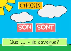 Aperçu - Jeux - GOOGLE FORMS Homophones Homonymes SON SONT - Page 1