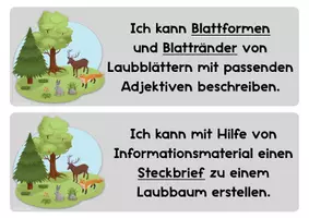 Vorschau - Arbeitsblätter - Einstieg in das Thema WALD - Seite 3