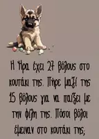 Προεπισκόπηση - Flashcards - Η Ήρα και οι φίλοι της: 20 προβλήματα με πράξεις - Σελίδα 1
