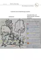 Vorschau - Arbeitsblätter - Die Stockwerke des Waldes - arbeitsteilig eine Übersicht erstellen - Seite 2