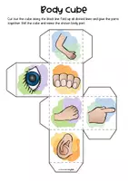 Vorschau - Spiele - Cube Game - Body Parts - Seite 1