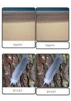 Προεπισκόπηση - Flashcards - Η κατάσταση της ύλης - Σελίδα 2
