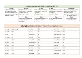 Vorschau - Arbeitsblätter - Plural Nouns (einfache Erklärung mit PPT und Handout zur Übung) - Deckblatt