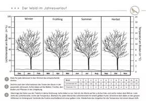 Vorschau - Arbeitsblätter - Der Wald im Jahresverlauf - Abitotische Faktoren Licht und Temperatur - Seite 2