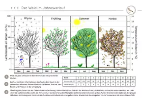 Vorschau - Arbeitsblätter - Der Wald im Jahresverlauf - Abitotische Faktoren Licht und Temperatur - Seite 3