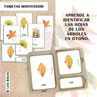Vista previa - Juegos / Gamificación - HOJAS EN OTOÑO - TARJETAS MONTESSORI. - Portada