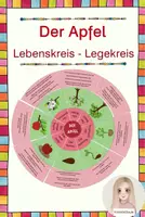 Vorschau - Arbeitsblätter - Der Apfel - Lebenskreis - Paket - Seite 1