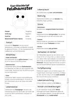 Vorschau - Arbeitsblätter - Hamster Komplettpaket - mit Lesetext, Steckbrief, Lückentext, Suchsel, Quiz und Ausmalbildern - Seite 1