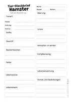 Vorschau - Arbeitsblätter - Hamster Komplettpaket - mit Lesetext, Steckbrief, Lückentext, Suchsel, Quiz und Ausmalbildern - Seite 2
