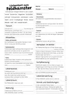 Vorschau - Arbeitsblätter - Hamster Komplettpaket - mit Lesetext, Steckbrief, Lückentext, Suchsel, Quiz und Ausmalbildern - Seite 3