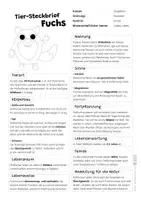 Vorschau - Arbeitsblätter - Fuchs Komplettpaket - mit Lesetext, Steckbrief, Lückentext, Suchsel, Quiz und Ausmalbildern - Seite 1