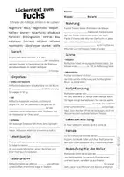 Vorschau - Arbeitsblätter - Fuchs Komplettpaket - mit Lesetext, Steckbrief, Lückentext, Suchsel, Quiz und Ausmalbildern - Seite 3
