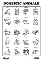 Vista previa - Tarjetas / Manipulativos - DOMESTIC ANIMALS – Visual Dictionary (20 Pets) - página 2