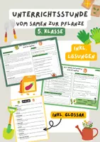 Vorschau - Stundenentwürfe - Vom Samen zur Pflanze - 5. Klasse fertige Biologiestunde | Unterrichtsreihe Aufbau Blütenpflanze - Deckblatt