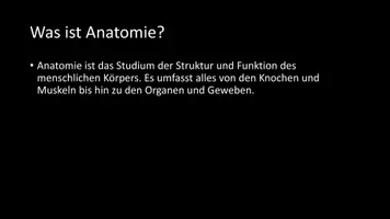 Vorschau - Arbeitsblätter - AB mit Fragen zum Thema "Anatomie" + Lösungsblatt - Seite 2