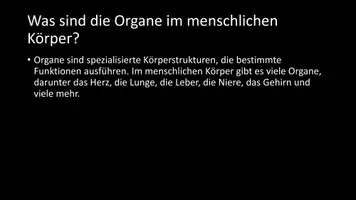 Vorschau - Arbeitsblätter - AB mit Fragen zum Thema "Anatomie" + Lösungsblatt - Seite 3