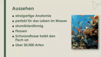 Vorschau - Präsentationen/Tafelbilder - Die Fische (Präsentation und H5P) - Seite 1