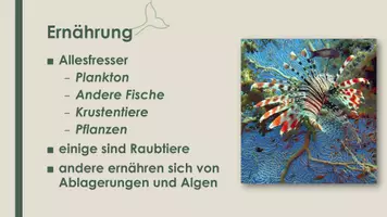Vorschau - Präsentationen/Tafelbilder - Die Fische (Präsentation und H5P) - Seite 2