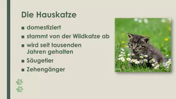 Vorschau - Präsentationen/Tafelbilder - Die Hauskatze (Präsentation und H5P) - Seite 2