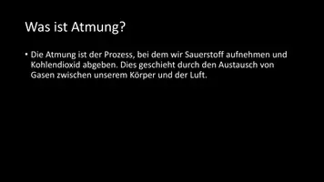 Vorschau - Arbeitsblätter - AB mit Fragen zum Thema "Atmung" + Lösungsblatt + Infografik - Seite 3